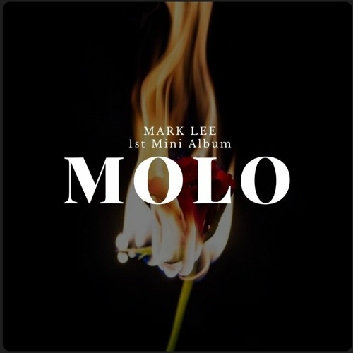 Mark-Vibration(Neo city The Link)