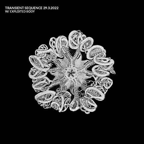 Transient Sequence W: Exploited Body 29.03.22