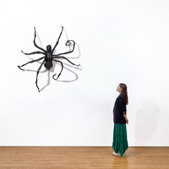 Spiders in My Head