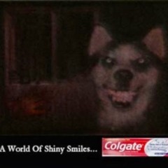 canine     @cutfol