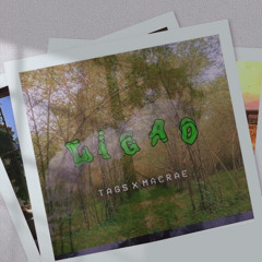 Ligao - TAGS x Macrae