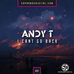 Andy T - I Can Go Back - Samp