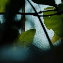 Mixes ⊹₊⟡⋆