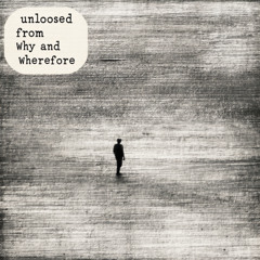 unloosed from why and wherefore