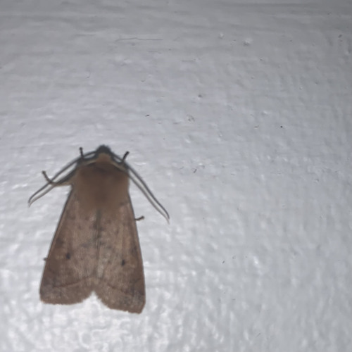 How It Hurts Demo november 2021