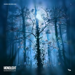 BloodRomantic, LH_TZS - Mondlicht