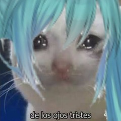 [Hatsune Miku_NT] EL MUCHACHO DE LOS OJOS TRISTES (The Boy with the Sad Eyes)