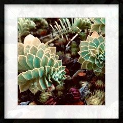 Lullaby Of Seasons Remastered X Ayesha Casely-Hayford