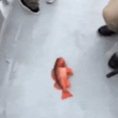 Megalovania [FISH] Edition