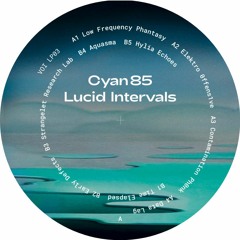 Cyan85 - Data Lag [VOILP03 | A4 | Premiere]