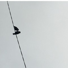 Cherry Wine by Hozier - cover