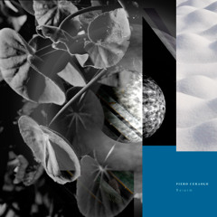 CF Premiere: Piero Ceraolo - Cold And Kind [EXP Records]