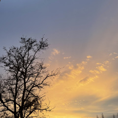 Wobble (Official Audio)