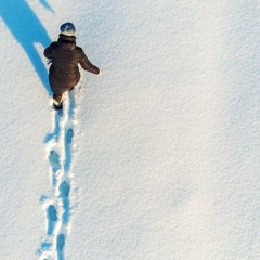 Lonesome Snow Walker