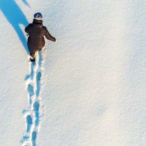 Lonesome Snow Walker