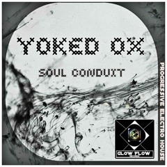 Soul Conduit (Original Mix)