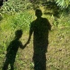 Toys Getting Lost In The Forest