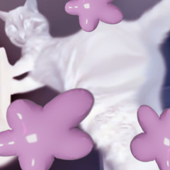 ✦ wanna be more confident ✦