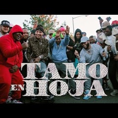 El Alfa X Dowba Montana X MarkB - Tamo En Hoja 122Bpm Dembow Intro+Outro