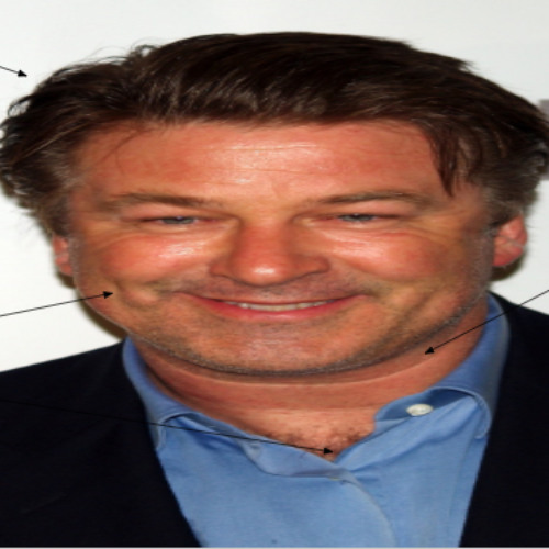 I Wish I Was Alec Baldwin