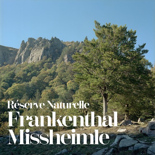 Mémoires de Nos Réserves - RN Frankenthal-Missheimle