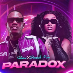 Paradox (feat. Shaneil Muir)