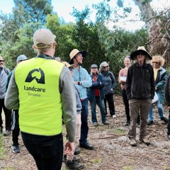 Todd Dudley Interview - ABC Evenings