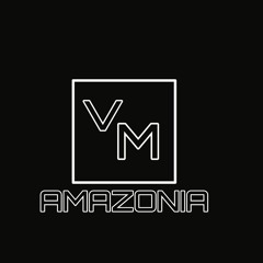 VICENTE M - Amazonia(Original Mix)