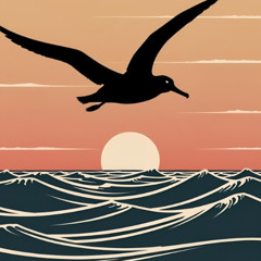 Albatross