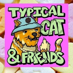 TYPICAL CAT AND FRIENDS  1