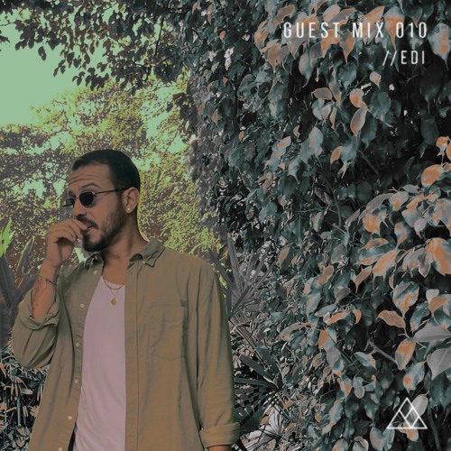 GUEST MIX 010 //EDI