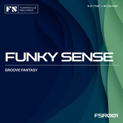 Groove Fantasy - Funky Sense