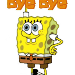 bye bye