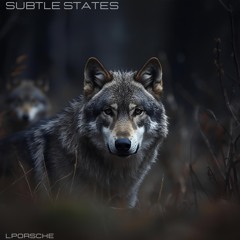 Subtle States