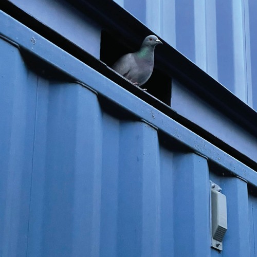 Opening Broadcast V - Giles Smith