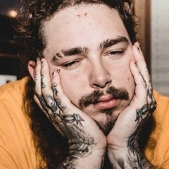 Post Malone - Find A Way (WIP)