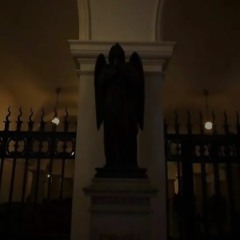 sg[cardinparis + whysee]