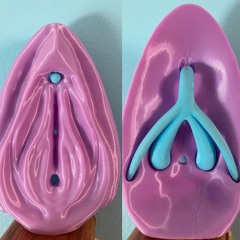 Vulva Anatomy & Can Everybody Come?