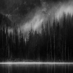 Illuminating The Shores