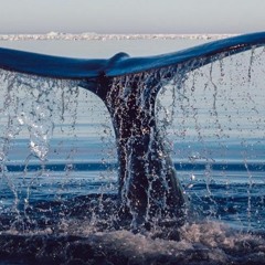 i dont mind drowning here if its with u