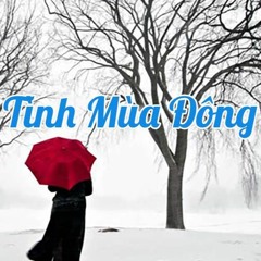 容易受伤的女人 (NGƯỜI TÌNH MÙA ĐÔNG)