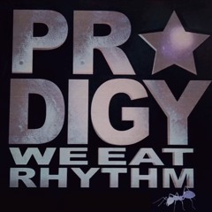 The Prodigy - We Eat Rythm (Rework by Wiccatron)