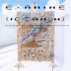 examine-mix-102-w-irreversible_changes-2025-02-08