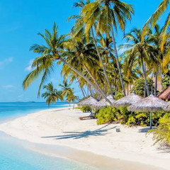 Island Girl (SIINTH Remix) - Robin Andrew