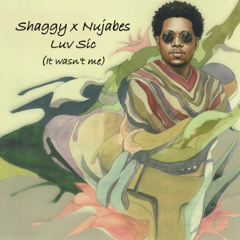 Shaggy x Nujabes - Luv Sic (It wasn't me)