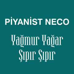 Yağmur Yağar Şıpır Şıpır