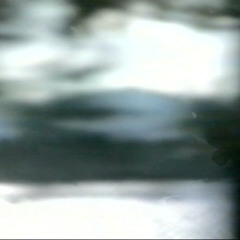 wingspan [Full Album]