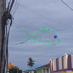 River - Oistins Fish Fry (Clip)