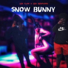 Luh Flow - Snow Bunny Ft Luh Rundown