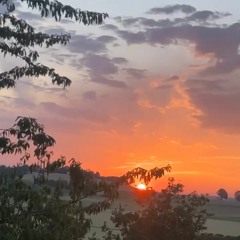 Wie soll ich von mir Denken(prod.by in Bloom)